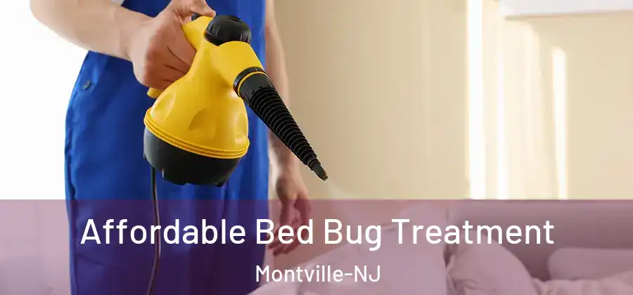  Affordable Bed Bug Treatment Montville-NJ