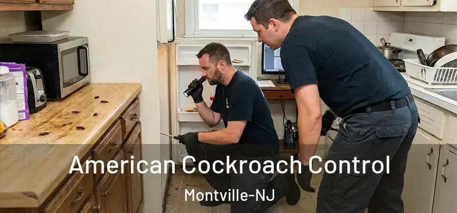 American Cockroach Control Montville-NJ
