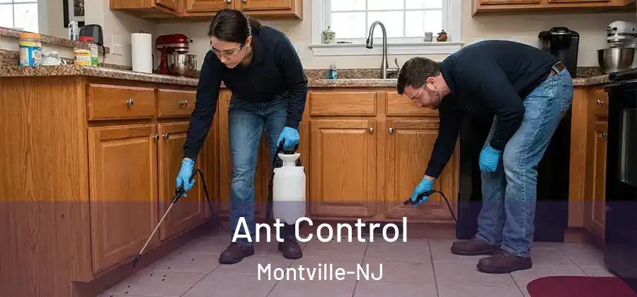 Ant Control Montville-NJ