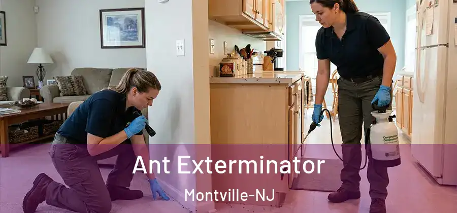 Ant Exterminator Montville-NJ