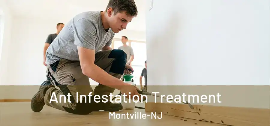 Ant Infestation Treatment Montville-NJ