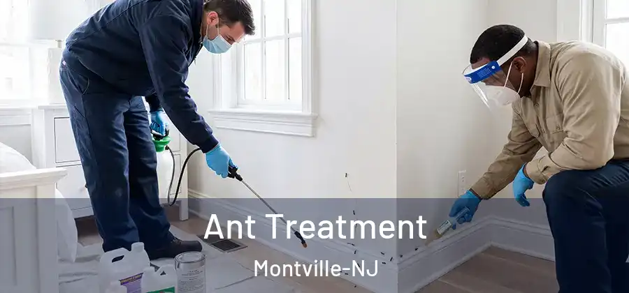  Ant Treatment Montville-NJ