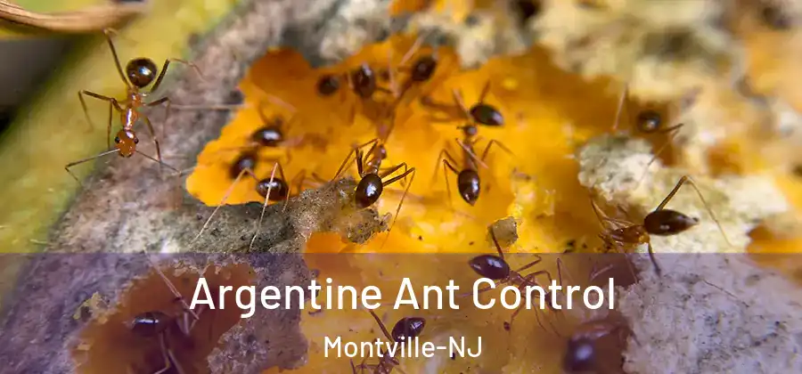 Argentine Ant Control Montville-NJ