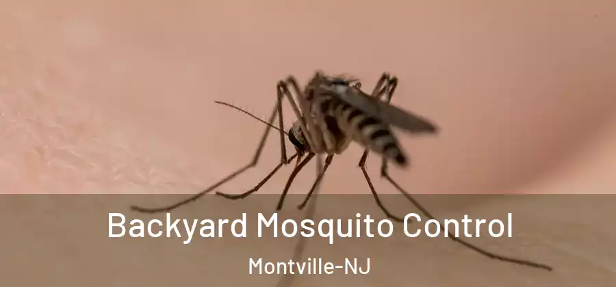 Backyard Mosquito Control Montville-NJ