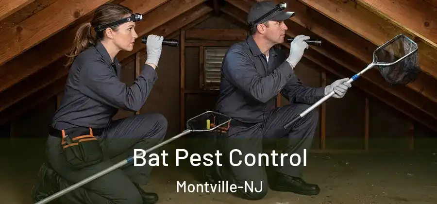  Bat Pest Control Montville-NJ