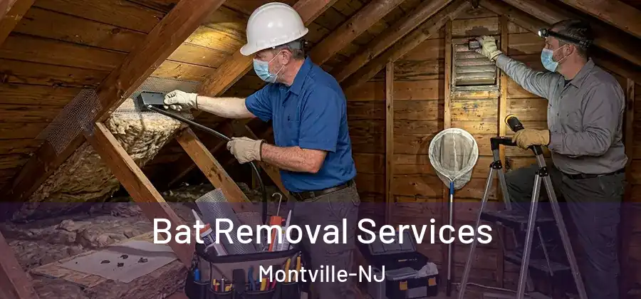  Bat Removal Services Montville-NJ