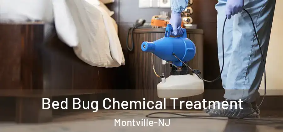 Bed Bug Chemical Treatment Montville-NJ