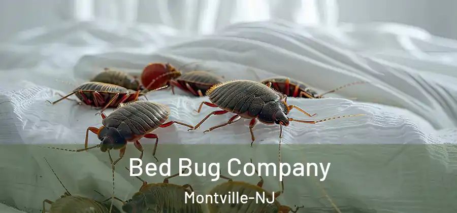 Bed Bug Company Montville-NJ