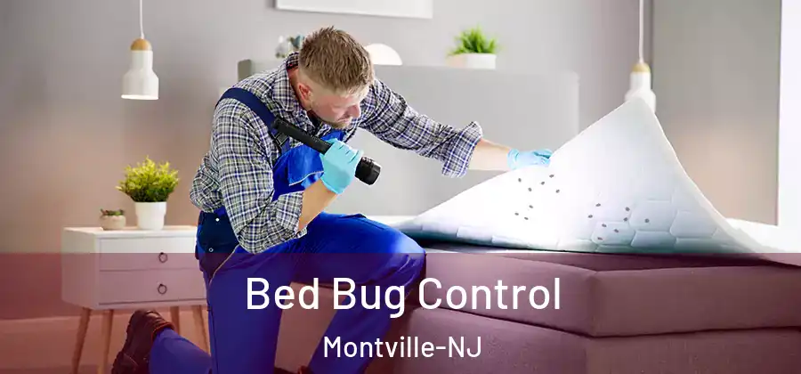 Bed Bug Control Montville-NJ