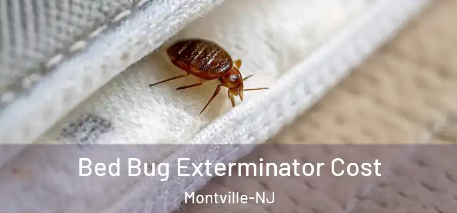 Bed Bug Exterminator Cost Montville-NJ