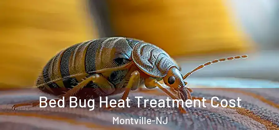 Bed Bug Heat Treatment Cost Montville-NJ