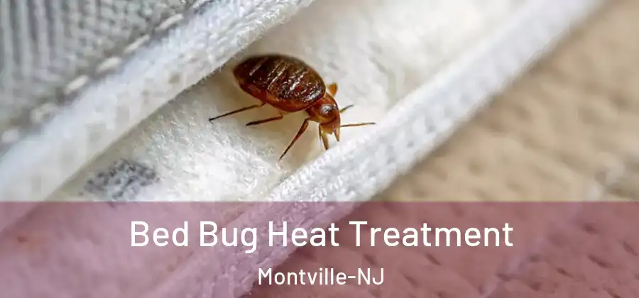  Bed Bug Heat Treatment Montville-NJ