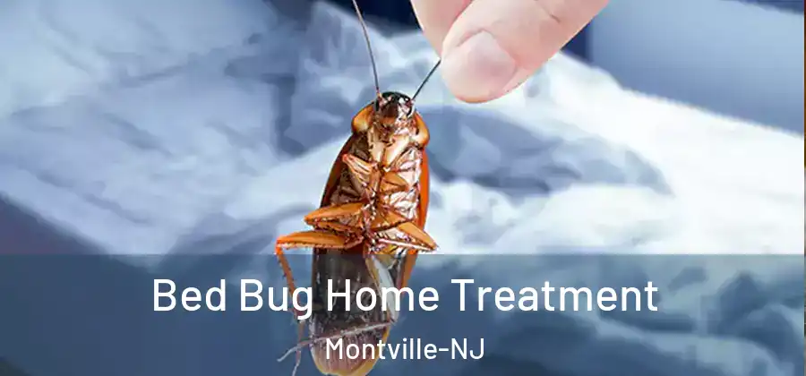  Bed Bug Home Treatment Montville-NJ