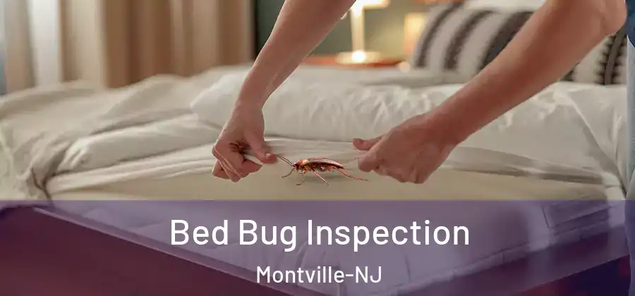 Bed Bug Inspection Montville-NJ