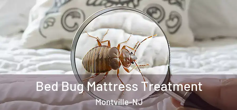  Bed Bug Mattress Treatment Montville-NJ
