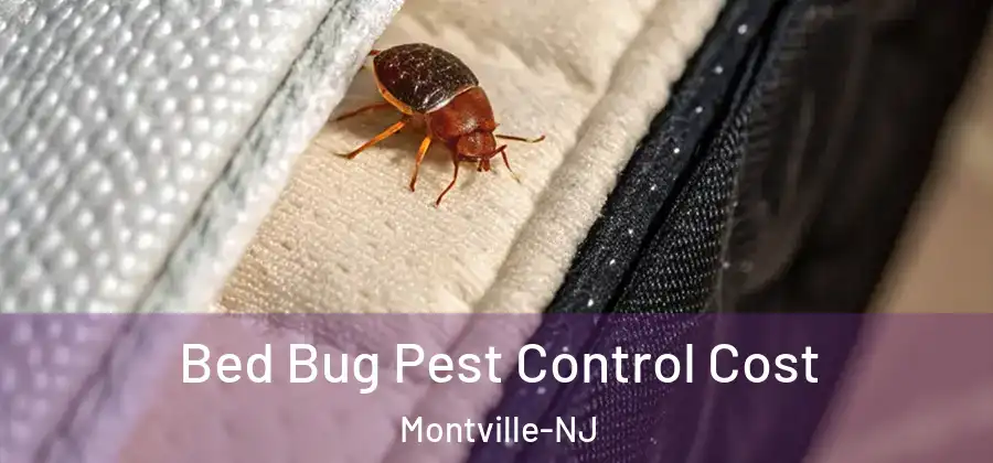 Bed Bug Pest Control Cost Montville-NJ