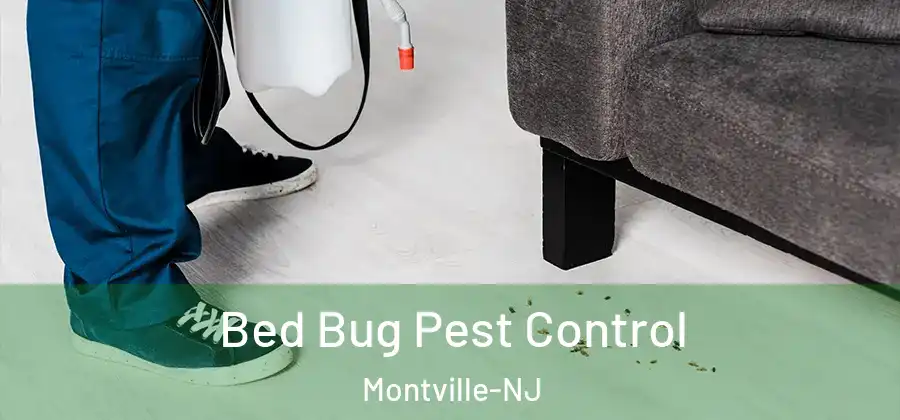 Bed Bug Pest Control Montville-NJ