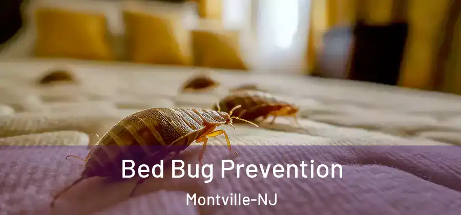 Bed Bug Prevention Montville-NJ