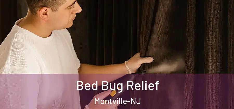 Bed Bug Relief Montville-NJ