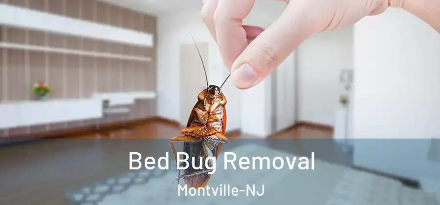Bed Bug Removal Montville-NJ