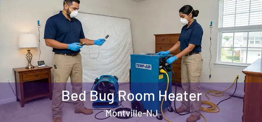 Bed Bug Room Heater Montville-NJ