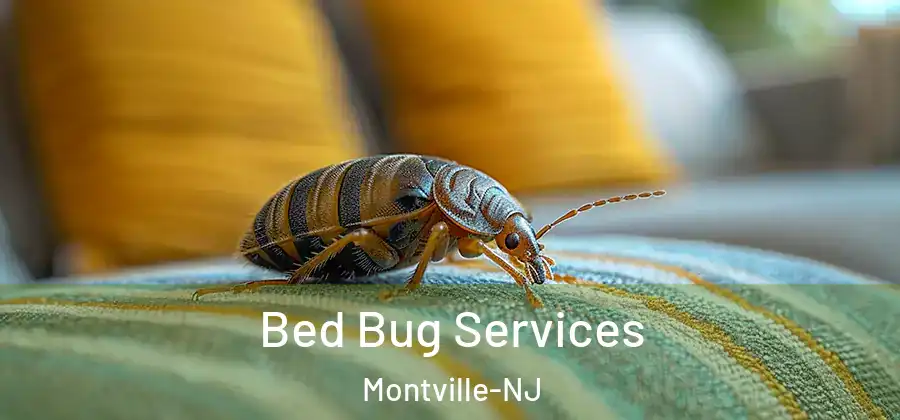 Bed Bug Services Montville-NJ