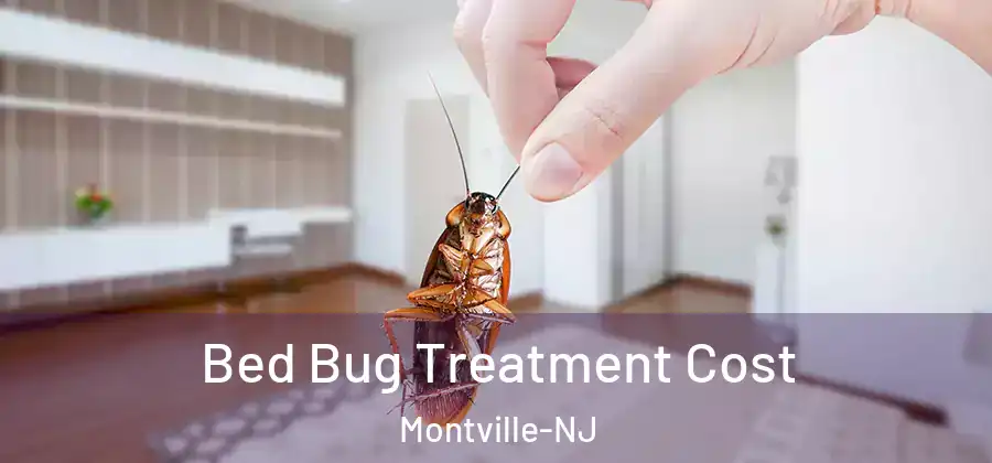 Bed Bug Treatment Cost Montville-NJ