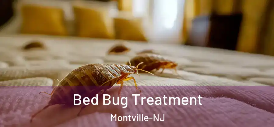  Bed Bug Treatment Montville-NJ