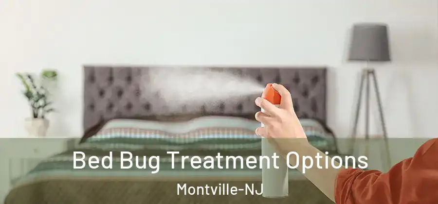 Bed Bug Treatment Options Montville-NJ