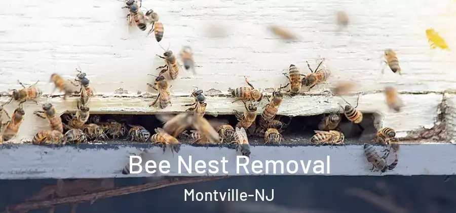 Bee Nest Removal Montville-NJ