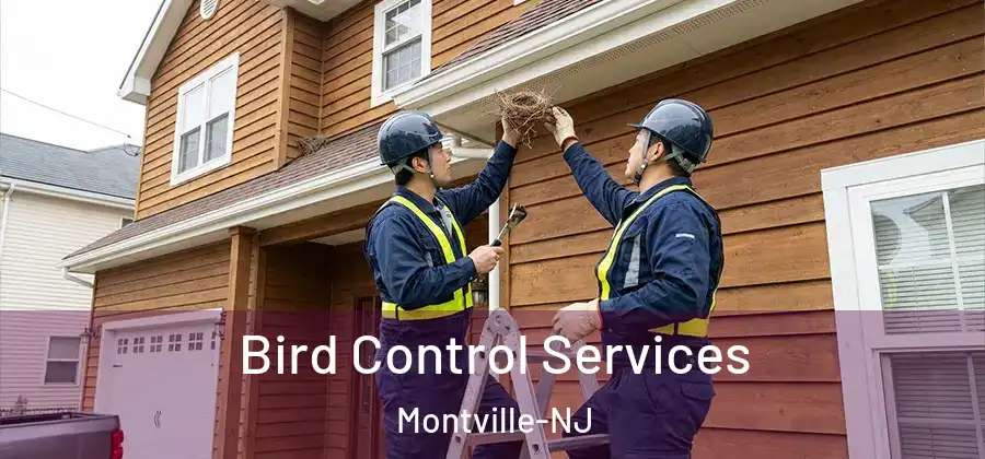 Bird Control Services Montville-NJ