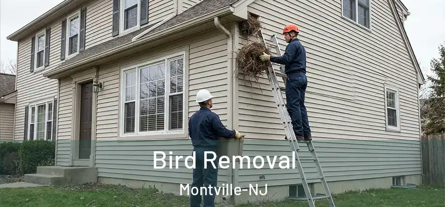  Bird Removal Montville-NJ