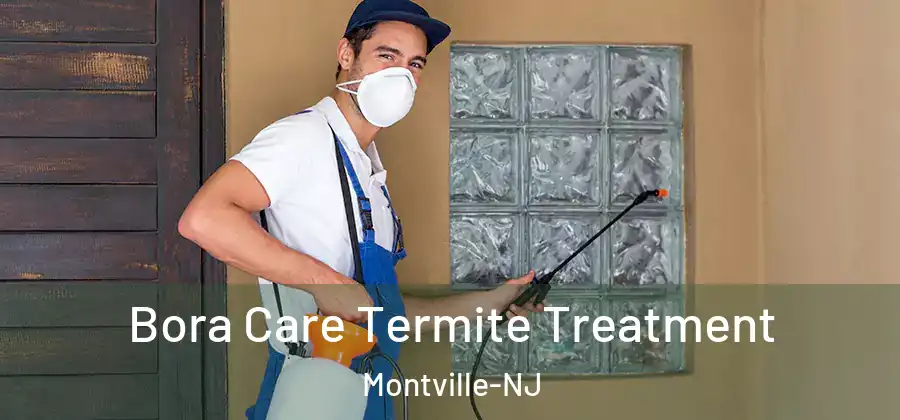 Bora Care Termite Treatment Montville-NJ