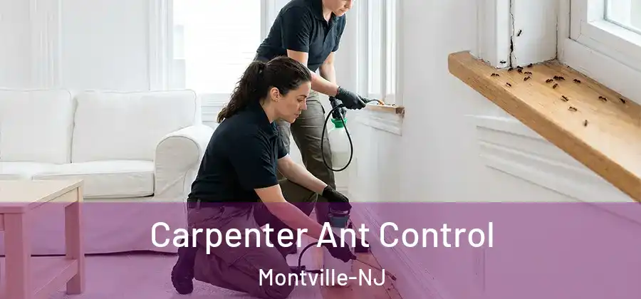 Carpenter Ant Control Montville-NJ