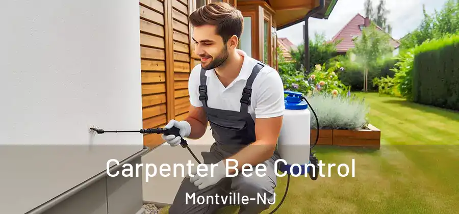 Carpenter Bee Control Montville-NJ