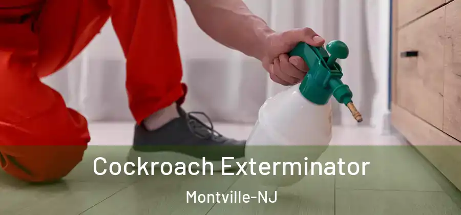 Cockroach Exterminator Montville-NJ