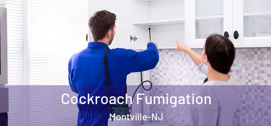  Cockroach Fumigation Montville-NJ