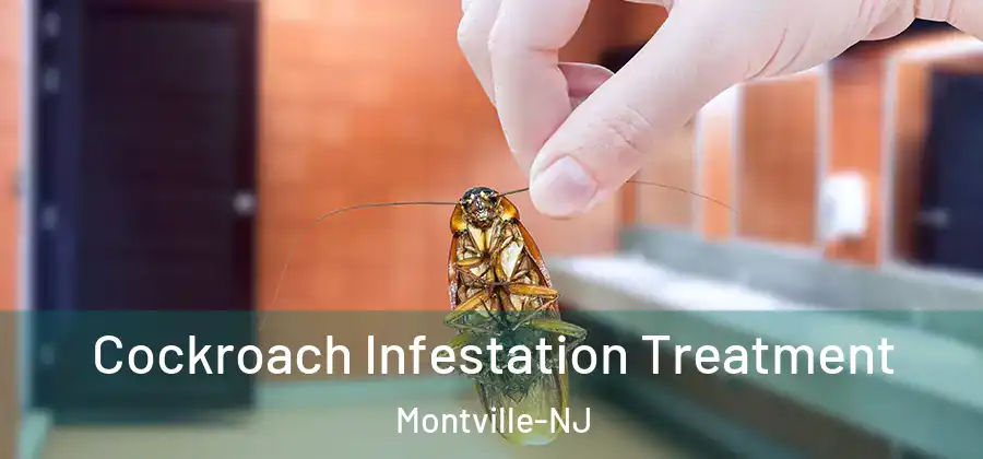  Cockroach Infestation Treatment Montville-NJ