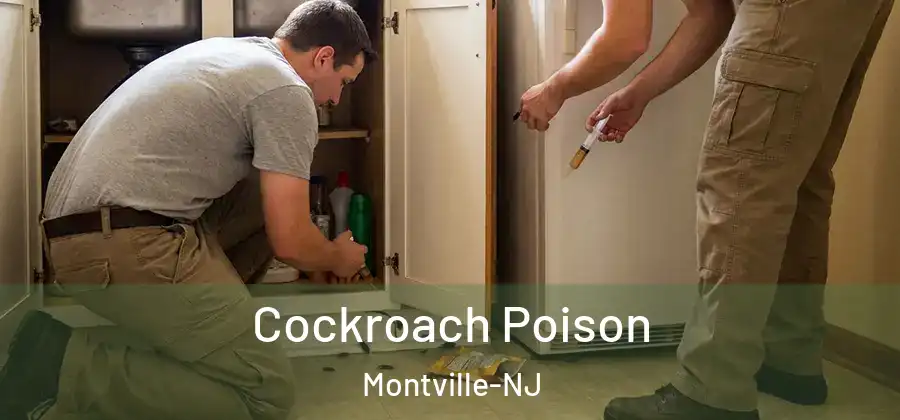  Cockroach Poison Montville-NJ