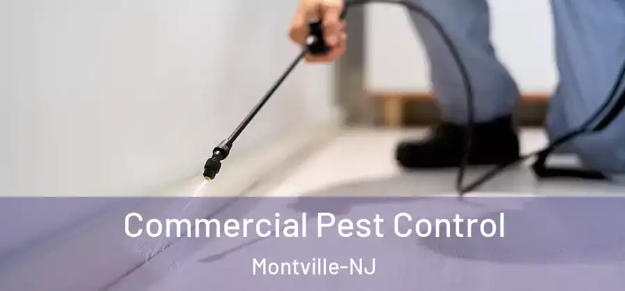  Commercial Pest Control Montville-NJ
