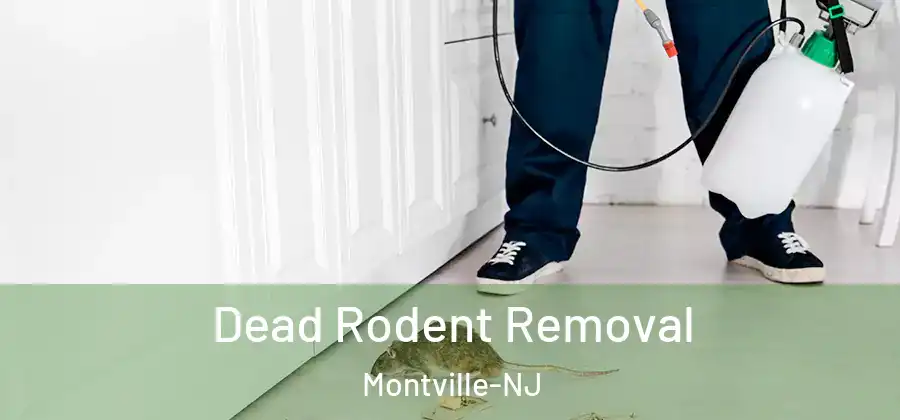 Dead Rodent Removal Montville-NJ