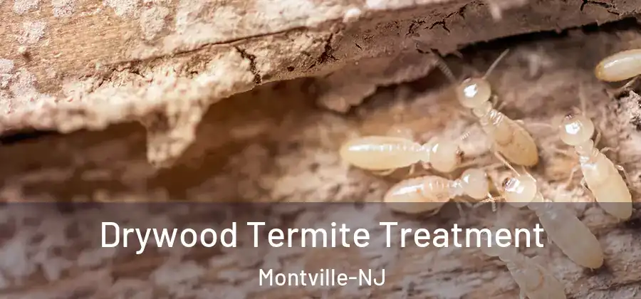 Drywood Termite Treatment Montville-NJ