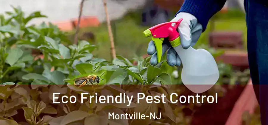 Eco Friendly Pest Control Montville-NJ