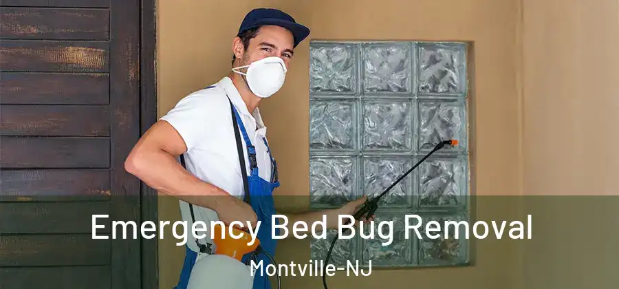 Emergency Bed Bug Removal Montville-NJ