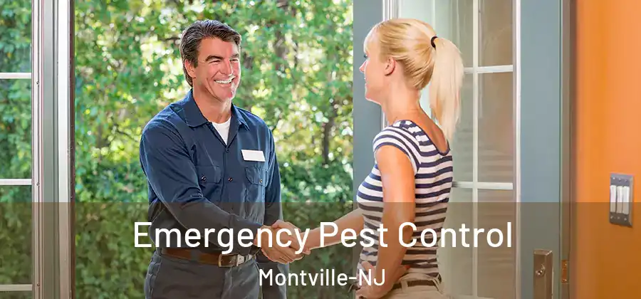 Emergency Pest Control Montville-NJ