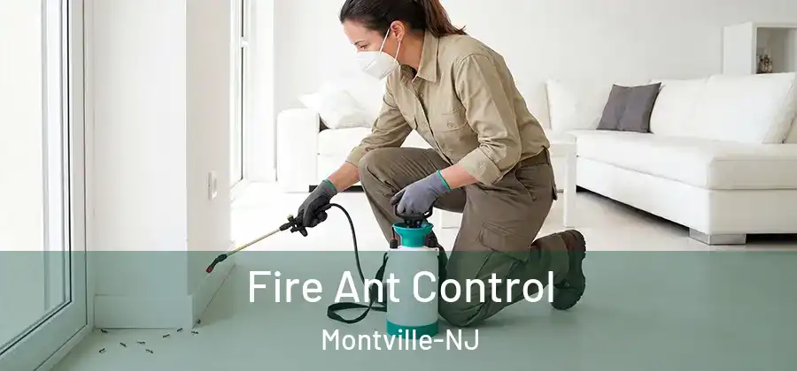 Fire Ant Control Montville-NJ