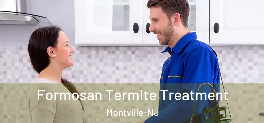  Formosan Termite Treatment Montville-NJ