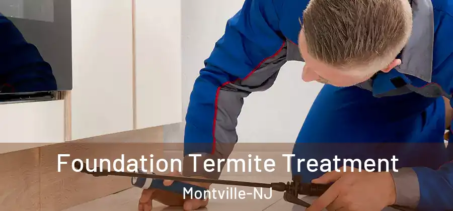  Foundation Termite Treatment Montville-NJ