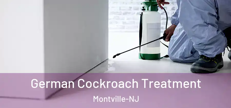  German Cockroach Treatment Montville-NJ