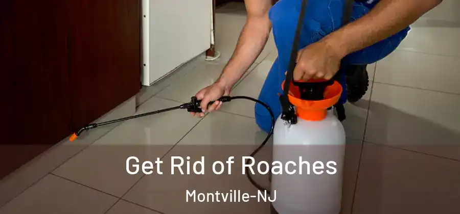 Get Rid of Roaches Montville-NJ